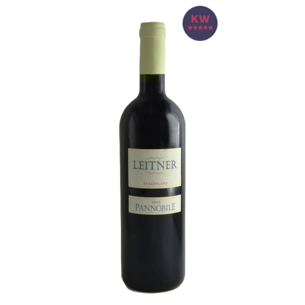 LeitnerPannobile2003