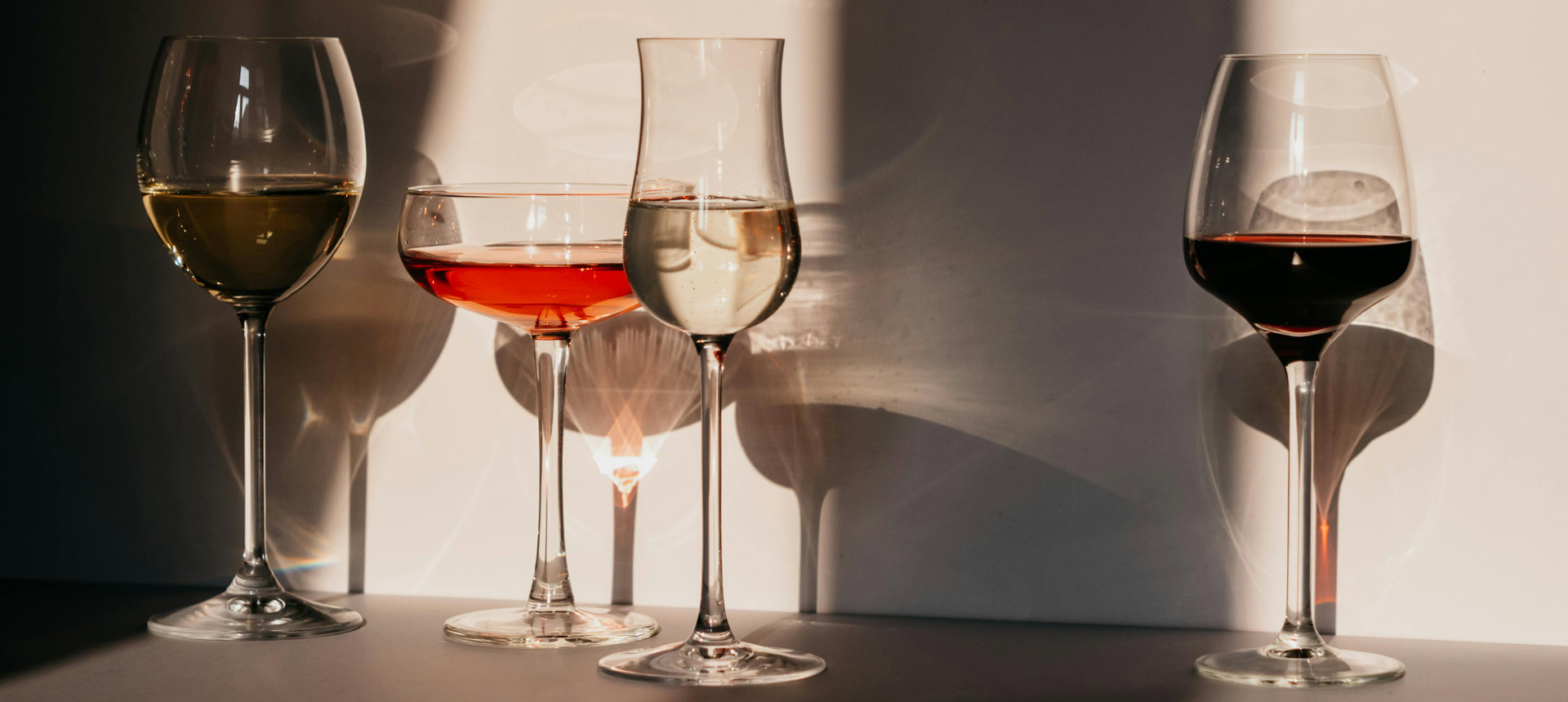 Freude am Wein polina-kovaleva